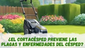 El cortacésped puede contribuir a la prevención de plagas y enfermedades