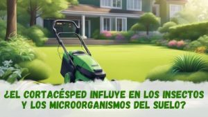Cortacésped y su impacto en los insectos y los microorganismos
