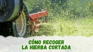 trucos para recoger la hierba cortada por mi robot cortacésped