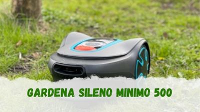 SILENO MINIMO