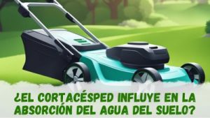 Consejos para un riego eficiente y equilibrado